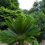 Gaestehaus Schwentineblick Malente