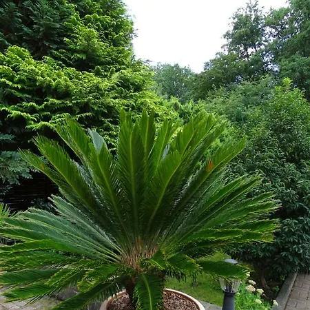 Gaestehaus Schwentineblick 3* Malente