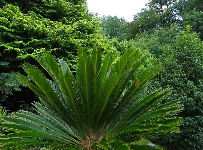 Gaestehaus Schwentineblick 3* Malente